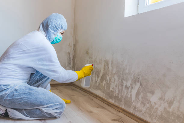 Bathroom Mold Removal assessment in Springfield bathroom