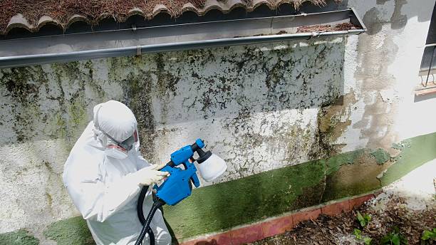 Mold Remediation service in Springfield, Springfield, MA